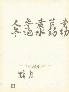 人参黄芪党参麦冬泡水的功效
