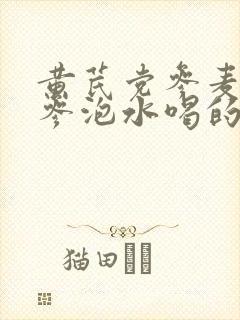 黄芪党参麦冬人参泡水喝的功效