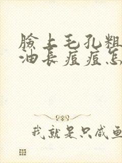脸上毛孔粗大出油长痘痘怎么办