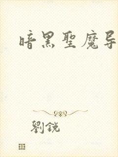 暗黑圣魔导