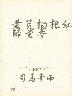 黄芪枸杞红枣当归党参