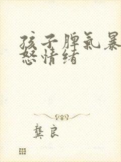 孩子脾气暴躁易怒情绪