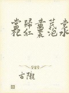 当归黄芪党参枸杞红枣泡水喝的功效