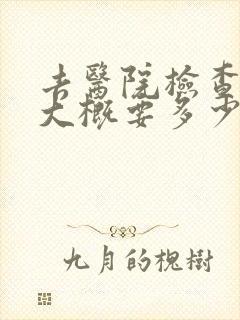 去医院检查抑郁大概要多少钱