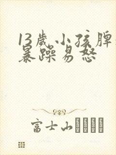 13岁小孩脾气暴躁易怒