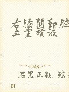 右膝关节腔及髌上囊积液