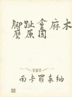 脚趾会麻木是什么原因