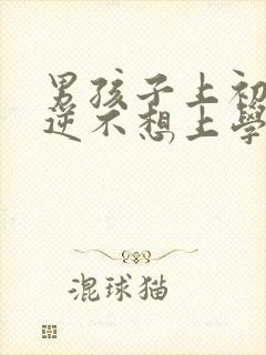 男孩子上初中叛逆不想上学怎么办