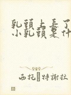 乳头上长了一个小乳头是什么情况