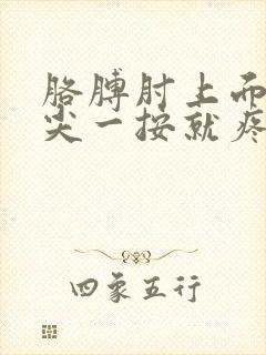 胳膊肘上面骨头尖一按就疼