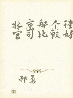 北京哪个律师打官司比较好