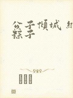 公子倾城 维和粽子