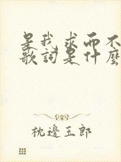 是我求而不得的歌词是什么歌