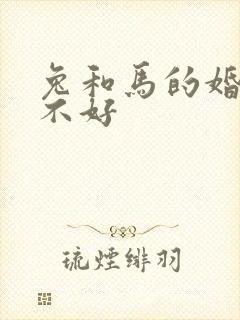 兔和马的婚配好不好封面