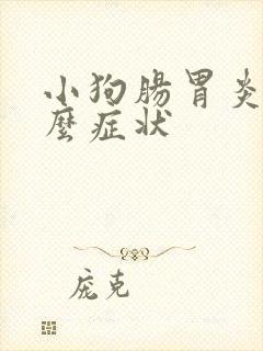 小狗肠胃炎是什么症状