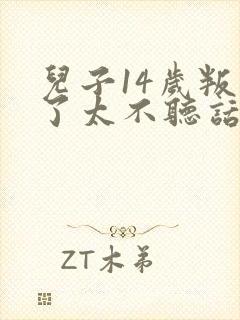 儿子14岁叛逆了太不听话怎么办