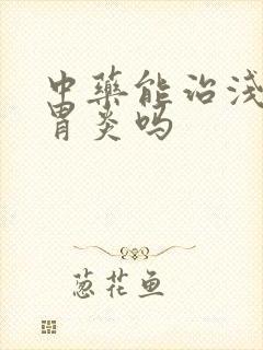 中药能治浅表性胃炎吗封面