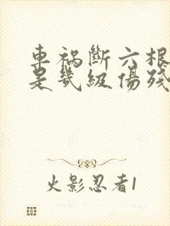 车祸断六根肋骨是几级伤残