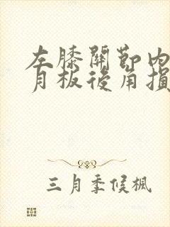 左膝关节内侧半月板后角损伤2度
