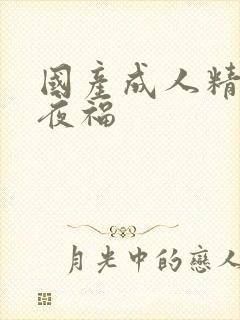 国产成人精品午夜福