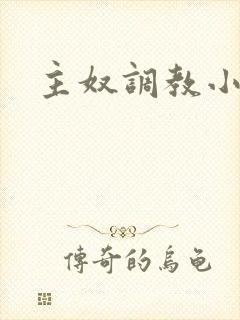 主奴调教小说