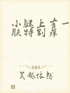 小腿上有一块皮肤特别痒