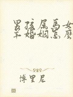男孩属马女孩属羊婚姻怎么样封面