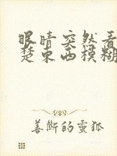 眼睛突然看不清楚东西模糊有重影封面