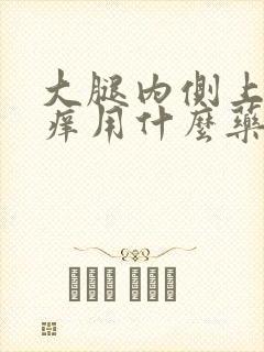 大腿内侧上面瘙痒用什么药