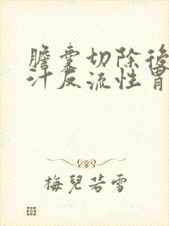 胆囊切除后有胆汁反流性胃炎怎么办封面