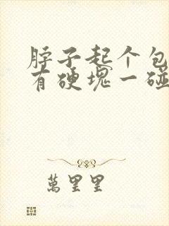 脖子起个包里面有硬块一碰就疼