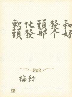 软化头发和拉直头发哪个好