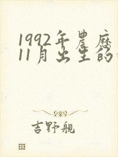 1992年农历11月出生的猴是什么命封面