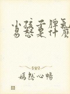 小孩子脾气暴躁易怒是什么原因