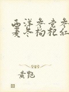 西洋参党参黄芪麦冬枸杞红枣