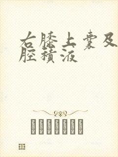 右膝上囊及关节腔积液