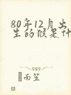 80年12月出生的猴是什么命封面