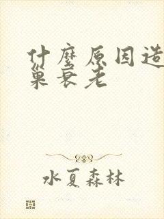 什么原因造成卵巢衰老
