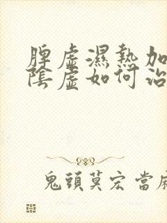 脾虚湿热加肝肾阴虚如何治疗