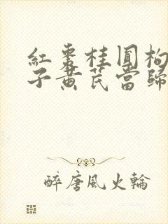 红枣桂圆枸杞莲子黄芪当归煮水喝