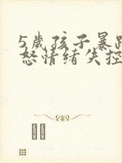 5岁孩子暴躁易怒情绪失控有暴力倾向