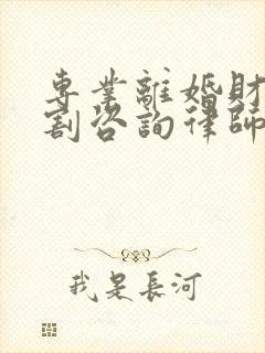 专业离婚财产分割咨询律师封面