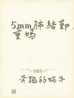 5mm肺结节严重吗