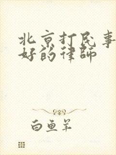 北京打民事官司好的律师
