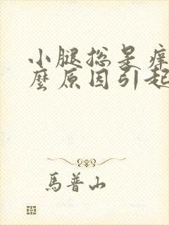 小腿总是痒痒什么原因引起的封面