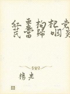 红枣枸杞党参黄芪当归 咽炎