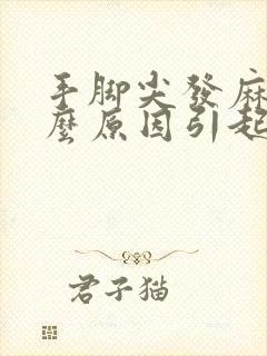 手脚尖发麻是什么原因引起的,怎么解决封面