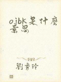 ojbk是什么意思封面