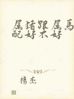 属猪跟属马的婚配好不好