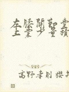 左膝关节囊及髌上囊少量积液